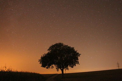 Silhouette trees on field against sky at night