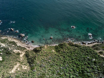 High angle view of birds on beach