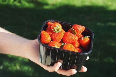 Cropped hand of person holding strawberries in bowl