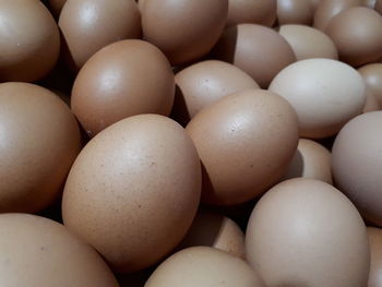 Full frame shot of eggs