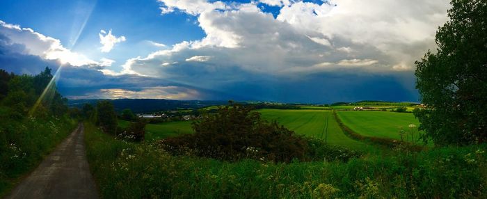 Scenic view of agricultural field against sky