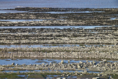 Full frame shot of sea shore