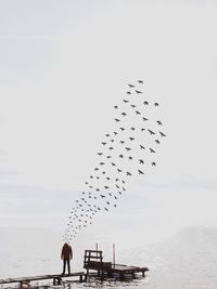 Man with flock of birds coming from head