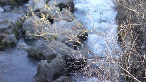 Close-up of frozen water