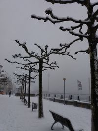 View of frozen bare tree during winter