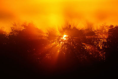 Firework display against sky during sunset