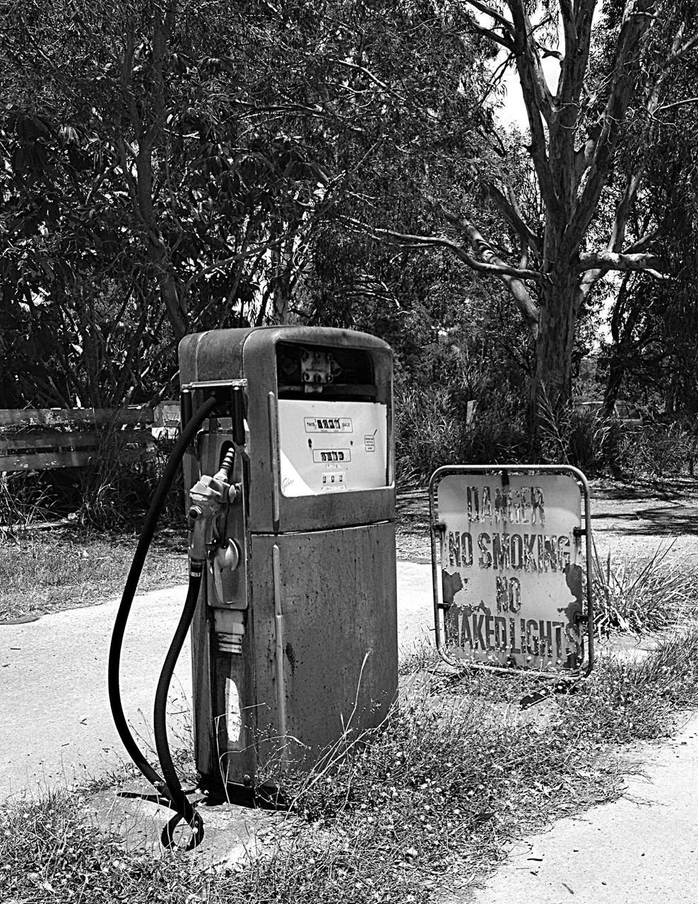 text, bicycle, western script, transportation, communication, mode of transport, tree, parked, parking, stationary, land vehicle, day, abandoned, metal, no people, outdoors, information sign, wall - building feature, absence, sign