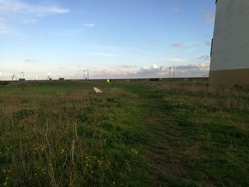 Scenic view of grassy field against sky