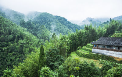 High angle view of trees on mountains against sky