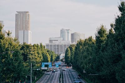 Trees and cityscape against sky