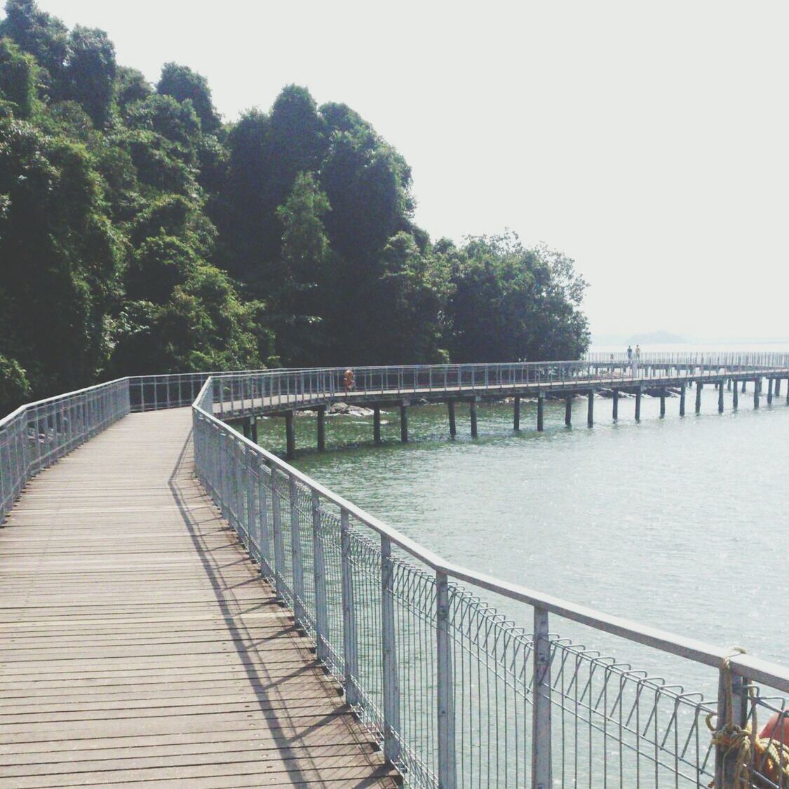 water, railing, the way forward, connection, bridge - man made structure, footbridge, pier, tree, built structure, tranquility, clear sky, tranquil scene, diminishing perspective, nature, bridge, scenics, beauty in nature, river, boardwalk, architecture