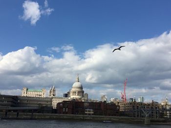 View of birds flying over city against cloudy sky