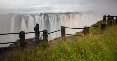 Rear view of man standing against waterfall 