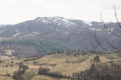 Scenic view of agricultural landscape against sky