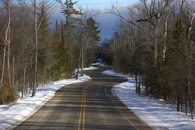 Empty road amidst trees during winter