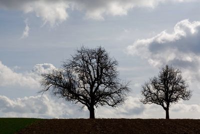 Bare trees on field against cloudy sky