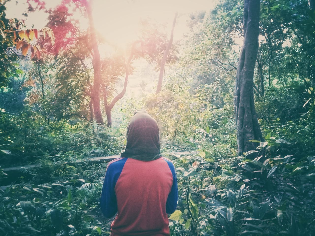 REAR VIEW OF WOMAN STANDING AMIDST PLANTS IN FOREST