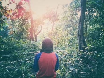 Rear view of woman in forest