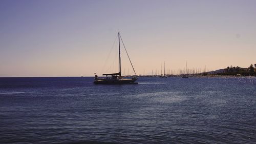 Sailboats sailing on sea against clear sky during sunset