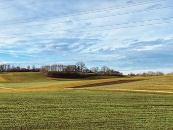 Scenic view of agricultural field against sky