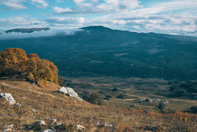 Scenic view of landscape against sky