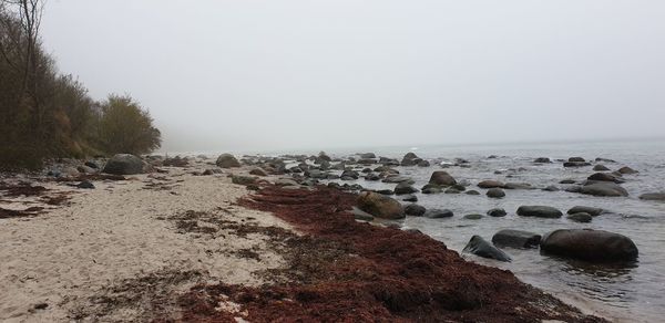 Rocks on sea shore against sky