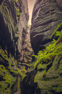 Low angle view of rock formation on mountain