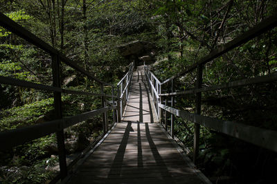 Footbridge against trees