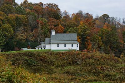 Trees and house on field during autumn