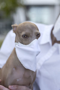 Midsection of man with dog wearing masks