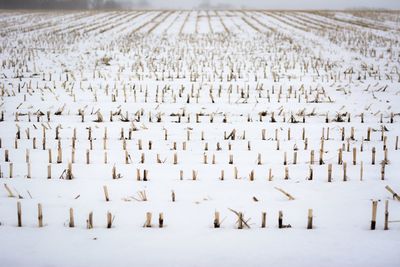 High angle view of snow on field