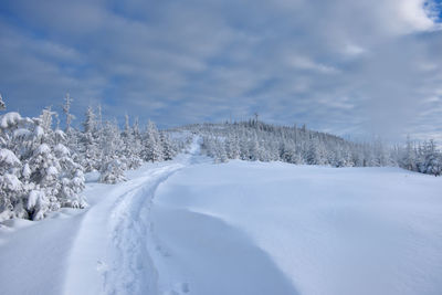 Panoramic shot of snow covered land against sky