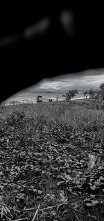 Scenic view of land against sky