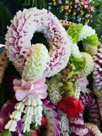 High angle view of pink flowering plant