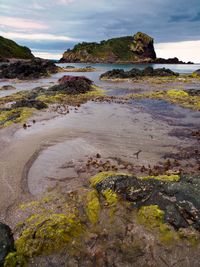 Sea shore landscape during a spring storm. 