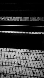 View of trees at night