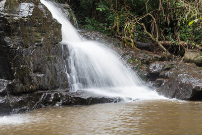 Waterfall in forest