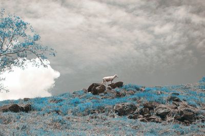 View of rocks against cloudy sky