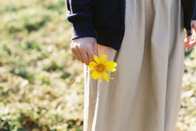 Midsection of person holding yellow flowering plant