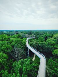 Scenic view of forest against sky