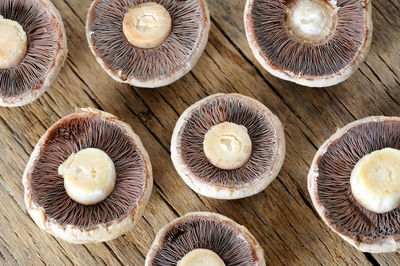 High angle view of mushrooms on wooden table