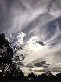 Low angle view of silhouette trees against sky