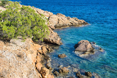 High angle view of rocks on shore