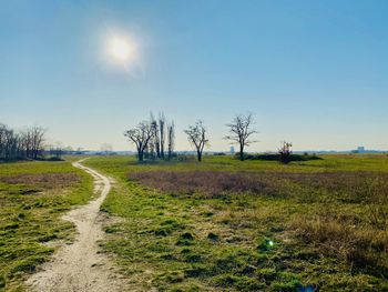 Scenic view of field against clear sky