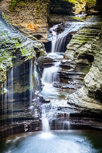 Scenic view of waterfall in forest