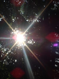 Sun shining through trees