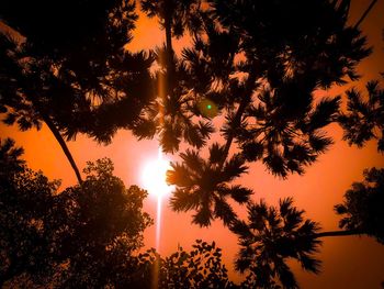 Low angle view of silhouette trees against sky during sunset