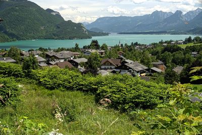 Houses on field by lake against sky