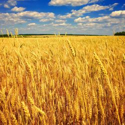 Scenic view of field against cloudy sky