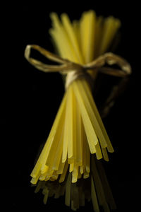 Close-up of yellow flowers against black background